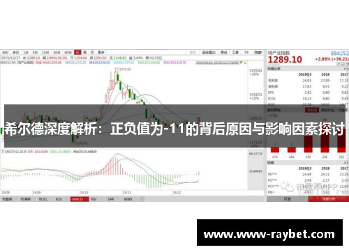 希尔德深度解析：正负值为-11的背后原因与影响因素探讨